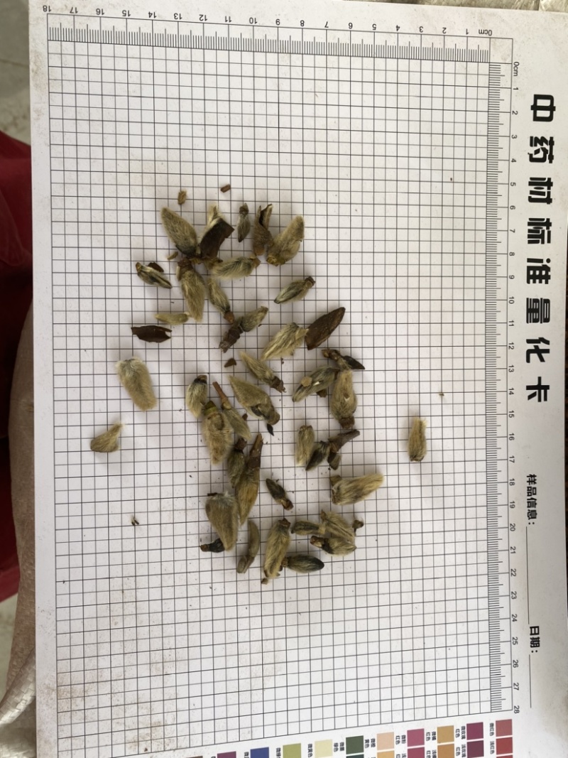 辛夷花无硫干货产品实拍质量保证