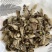 辛夷花无硫干货产品实拍质量保证