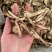 当归云南当归片产品实拍