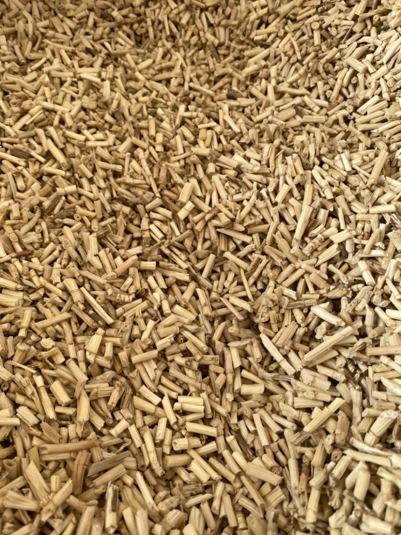 茅根水洗白茅根干净无杂质产品实拍质量保证