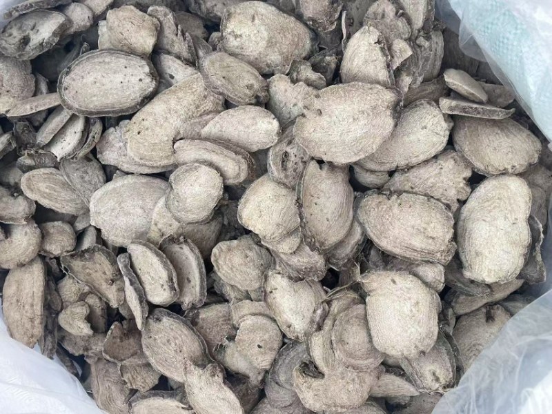 广东入地老鼠干货入地老鼠干货紫茉莉根干货
