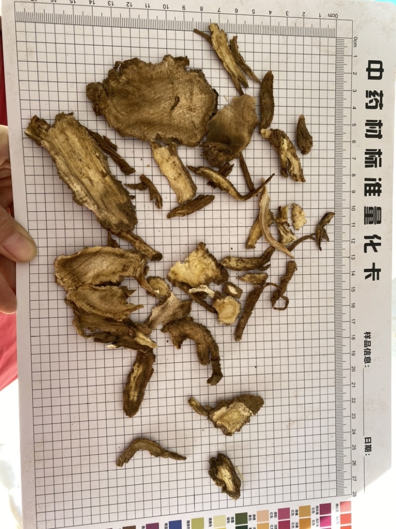 独活通货无硫产品实拍质量保证