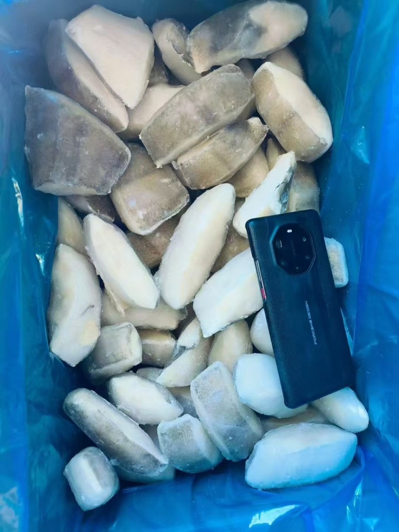 箭齿鲽，剑齿鲽，鱼段