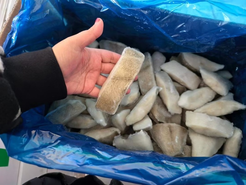 箭齿鲽，剑齿鲽，鱼段