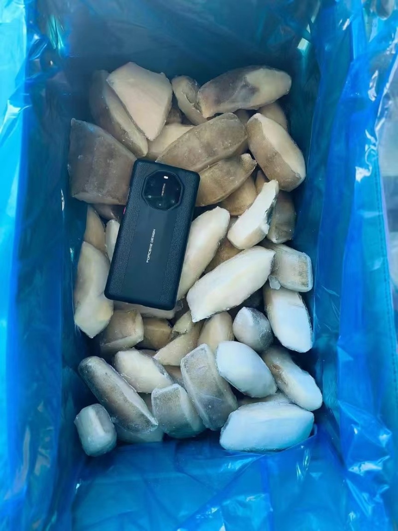箭齿鲽，剑齿鲽，鱼段