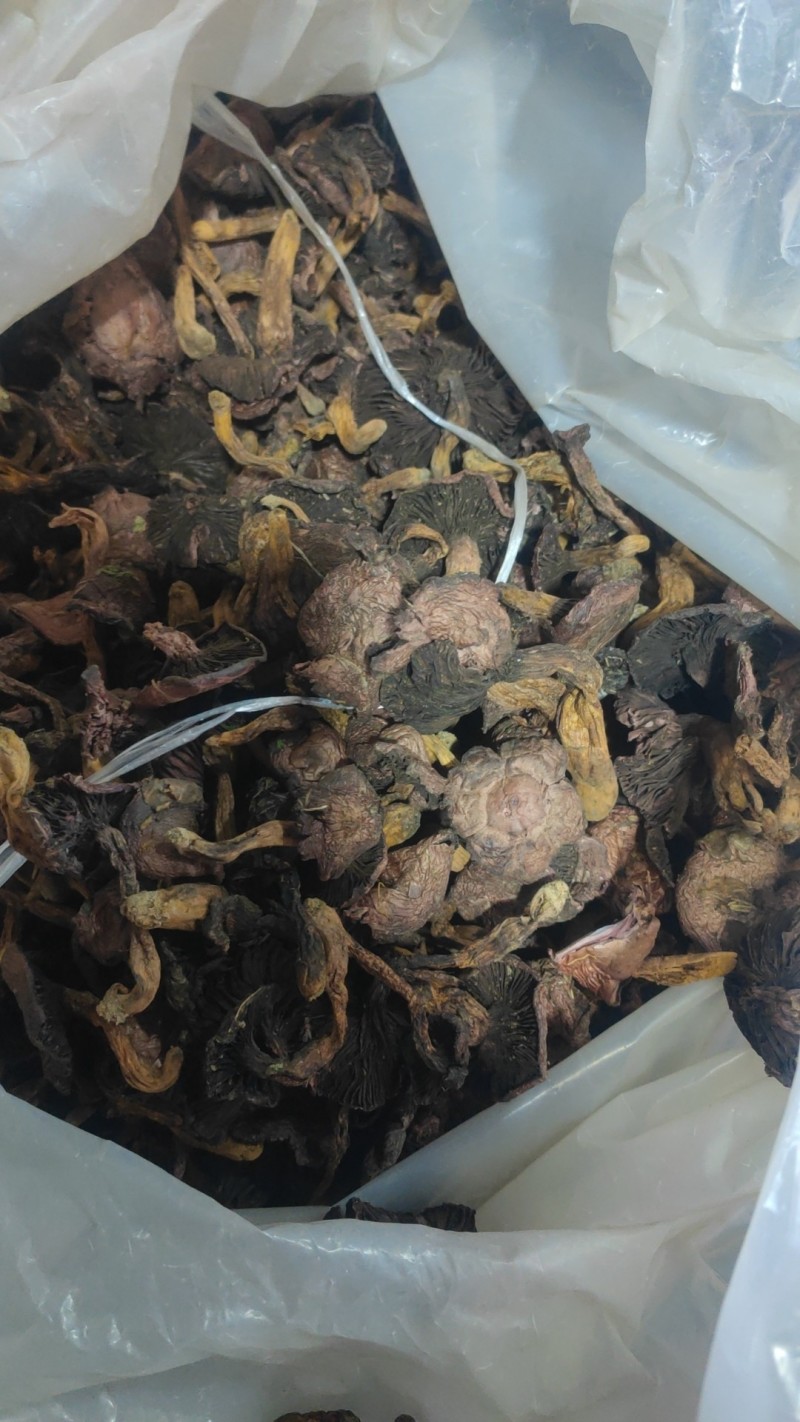 肉磨大头精品