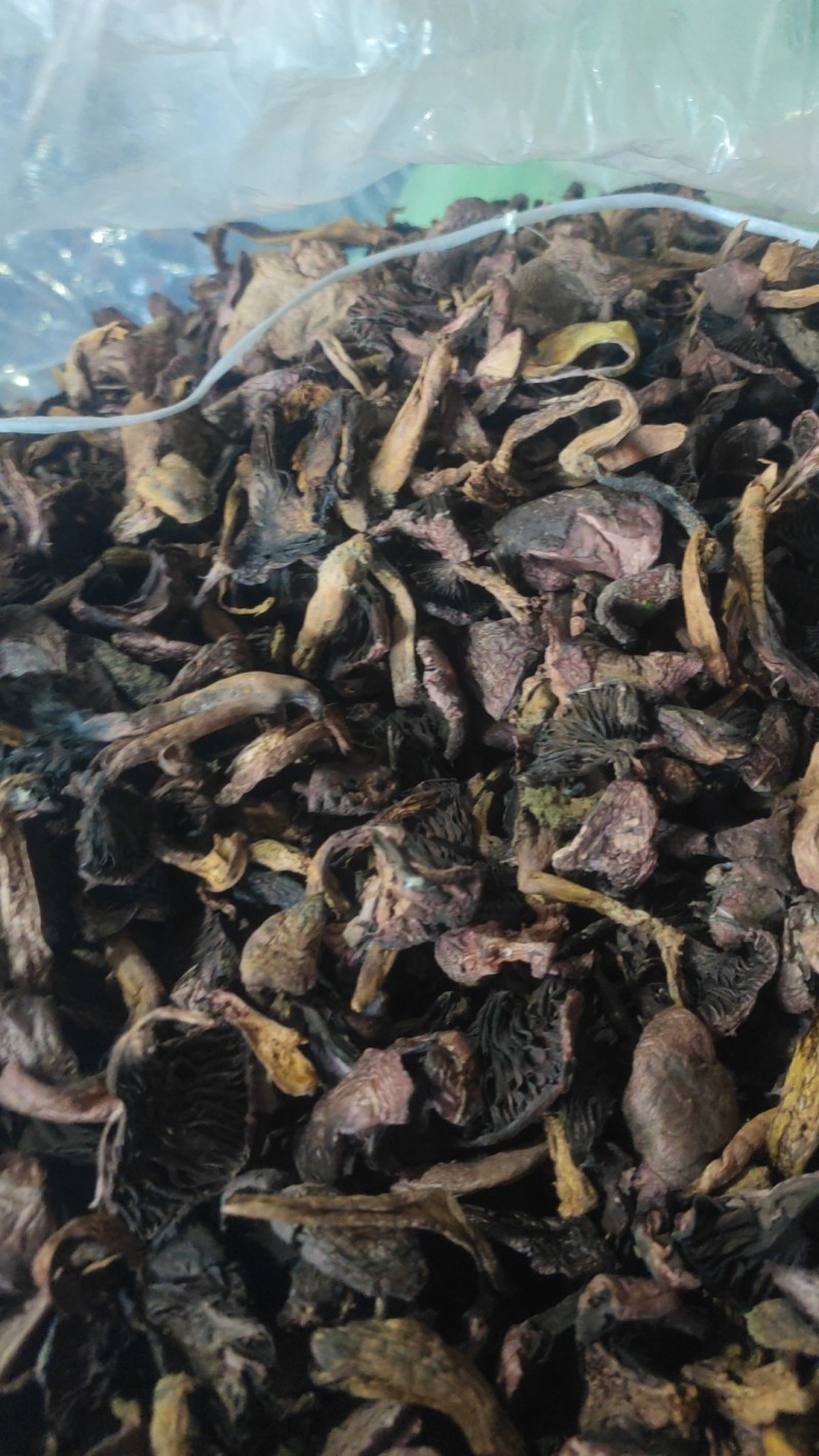 肉磨大头精品