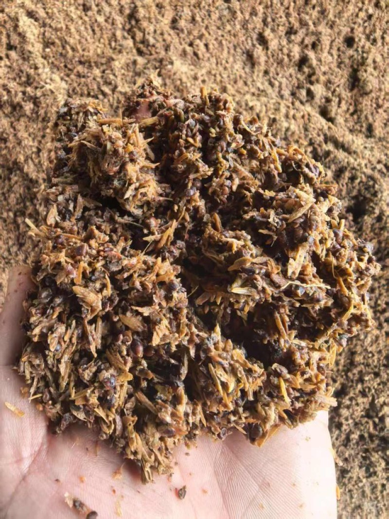 湖北五粮248/吨，高粱酒糟280/吨大量出售实用养牛，