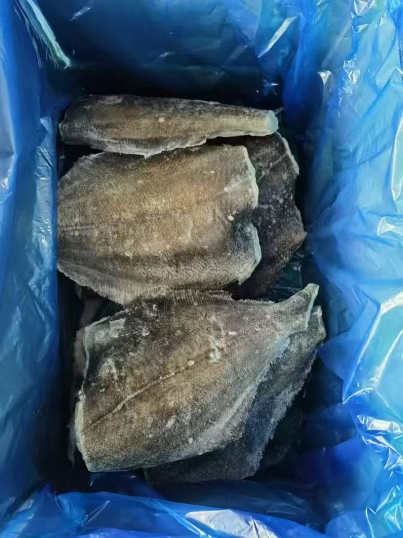 箭齿鲽鱼身，去头去尾。