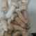 冰冻松茸精品通货有30吨，产地直供