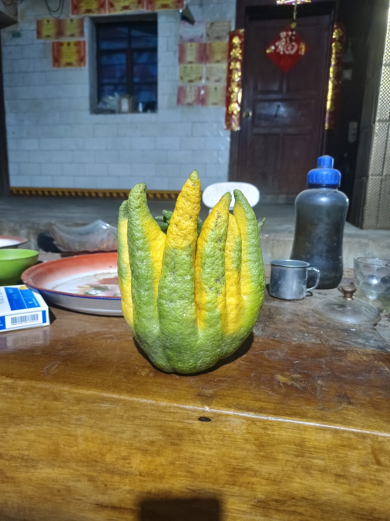 各种中药材供应