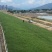 草坪种子多年生20克/平方春夏秋均可播种(包邮)