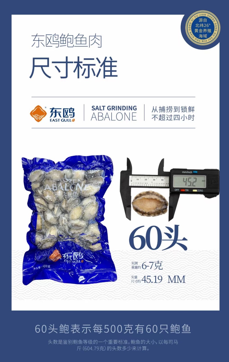 【三鲜鲍鱼】黄金鲍鱼肉酒店餐饮工厂适用源头实力工厂