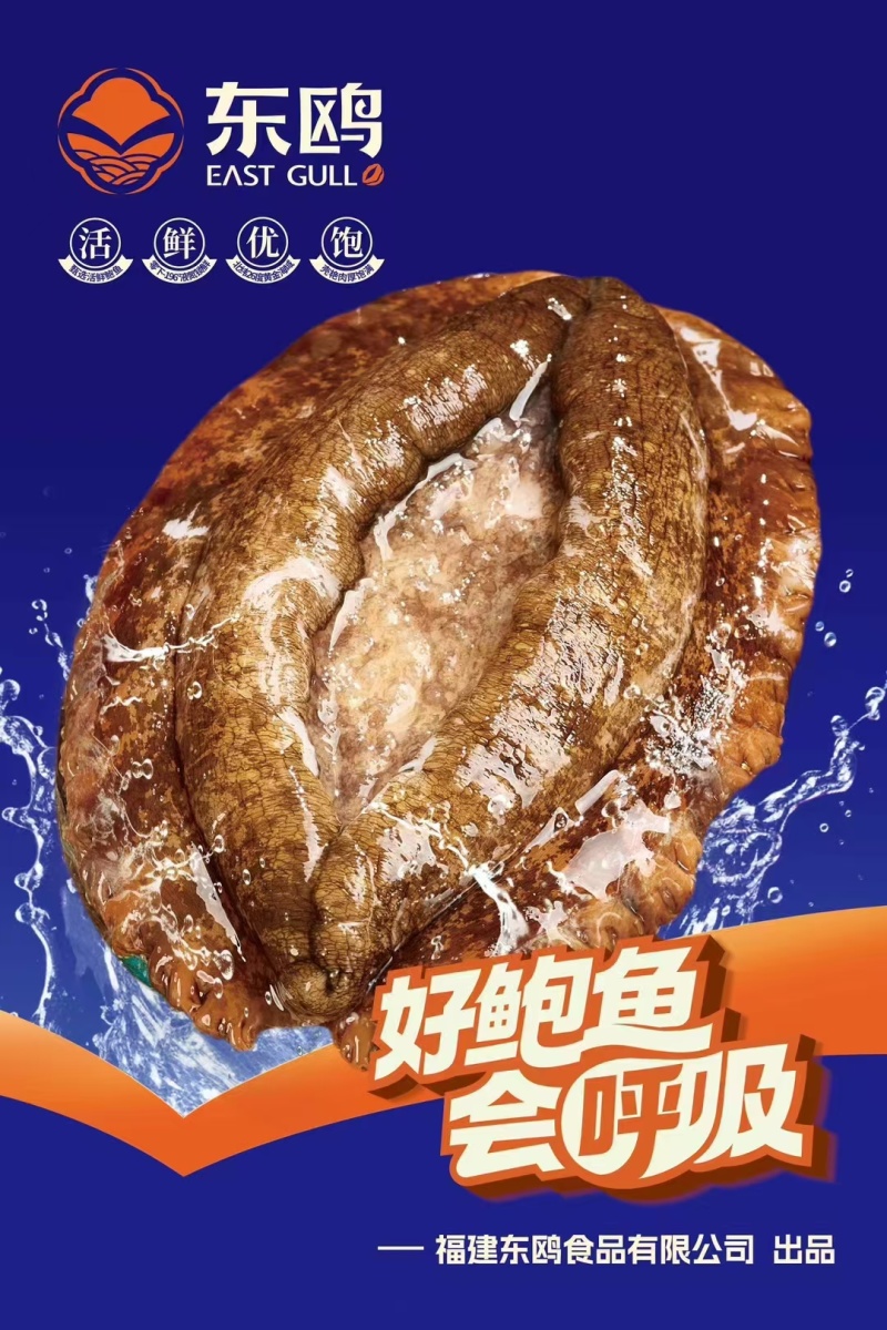 【红烧鲍鱼罐头】鲍鱼罐头酒店餐饮电商销售出口，源头工厂