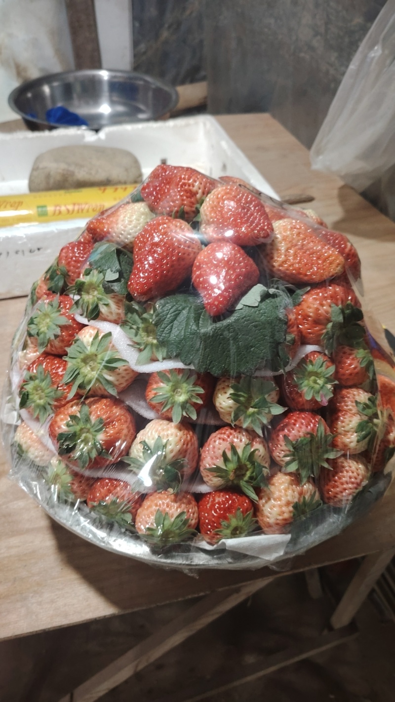四季草莓产地批发