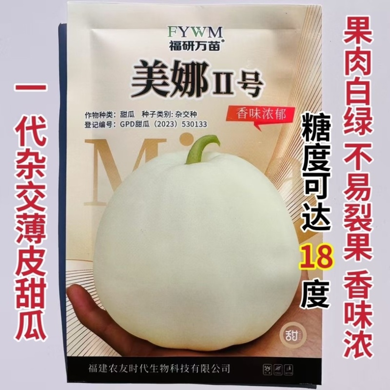 美娜2号甜瓜种子，果皮乳白，果肉白绿色，甜嫩多汁