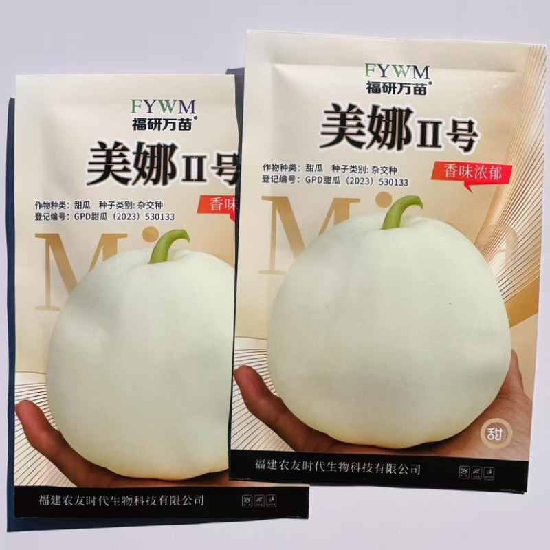 美娜2号甜瓜种子，果皮乳白，果肉白绿色，甜嫩多汁