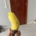 榴莲蜜薯