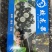 树葡萄