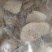 生地瓜干，红薯干，白地瓜干，，量大从优山东包送货到市场