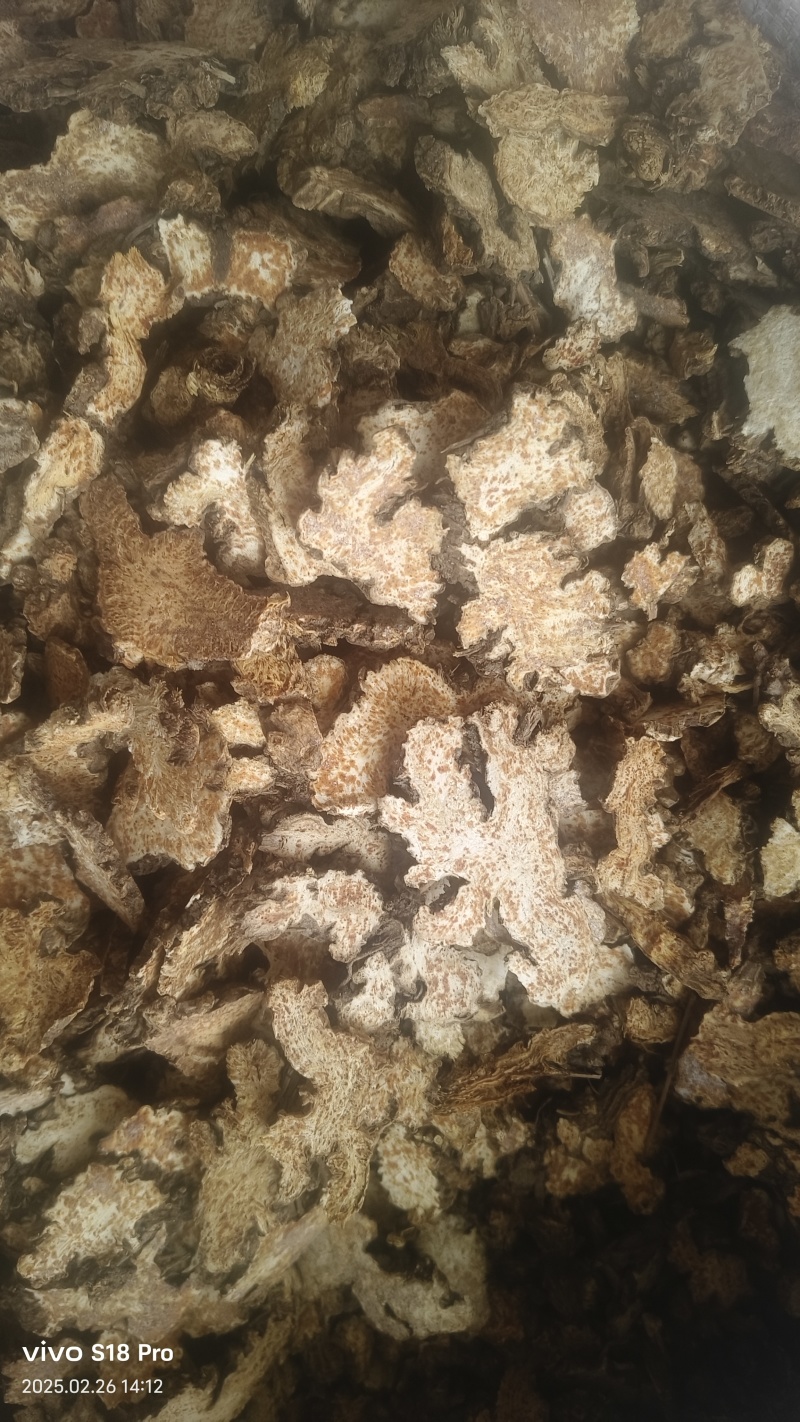 《苍术》内蒙苍术朱砂点多正品干货苍术片