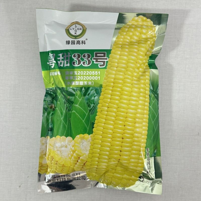正宗国审超甜水果玉米种子粤甜33号水果玉米种籽高产鲜食生