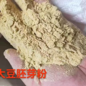 大豆胚芽粉