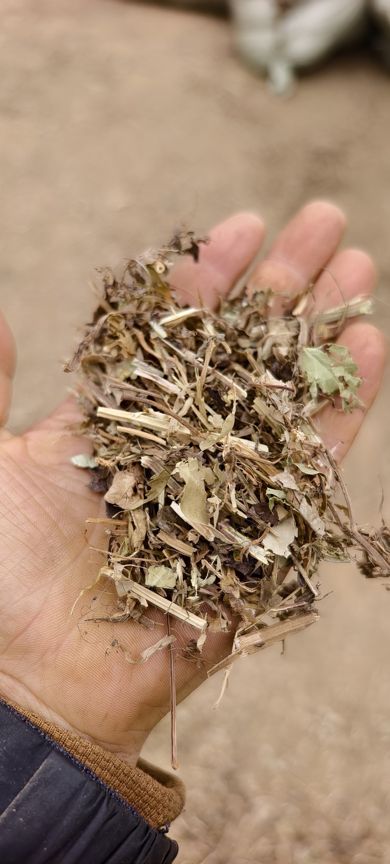 大量出售湖北宜城花生秧牛羊饲草