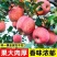 苹果树苗红富士苹果苗地栽盆栽庭院当年结果