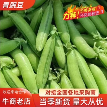 青豌豆，产地直发，人工挑选，质量保证，信誉商家，