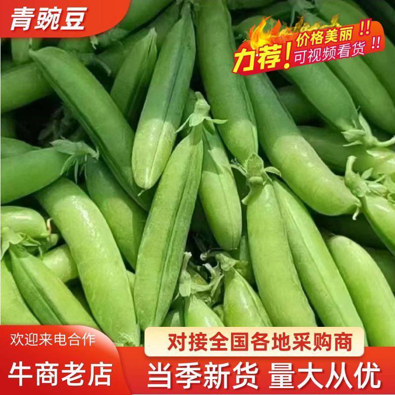 青豌豆，产地直发，人工挑选，质量保证，信誉商家，