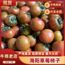 海阳草莓柿子4斤一件代发现摘现发产地直销质量保证