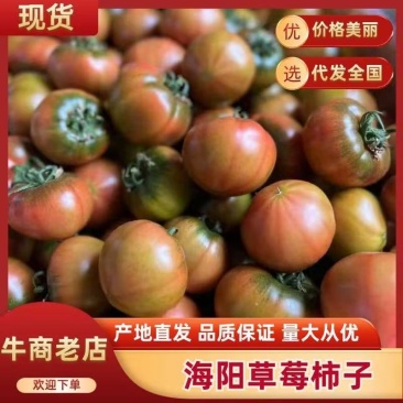 海阳草莓柿子4斤一件代发现摘现发产地直销质量保证