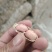 直接喂，农家自榨，油千金，花生油，油坊，纯花生油，，