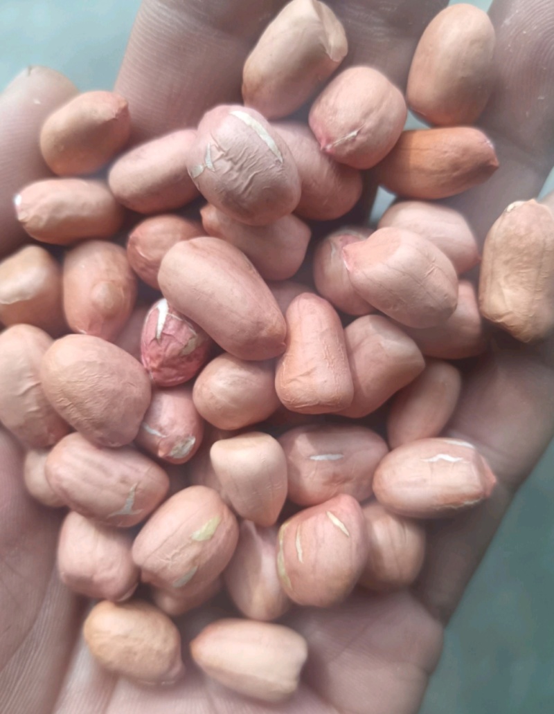 直接喂，农家自榨，油千金，花生油，油坊，纯花生油，，