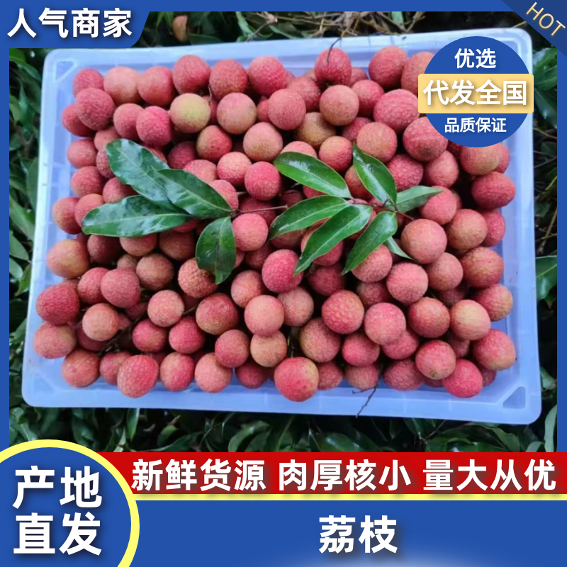 精品荔枝大量有货品质保证量大从优欢迎选购