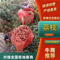 精品荔枝大量有货品质保证量大从优欢迎选购