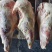 大羊后腿剔肉出成高一手货源支持样品全国发货