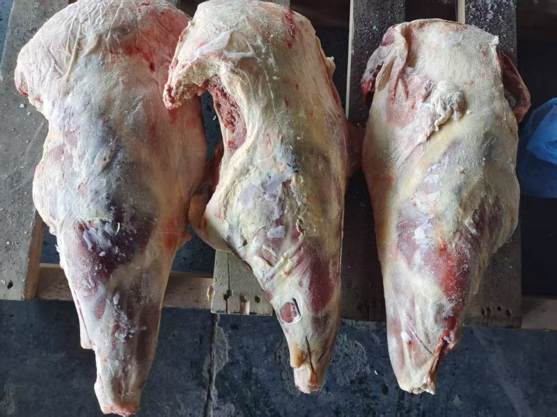 大羊后腿剔肉出成高一手货源支持样品全国发货