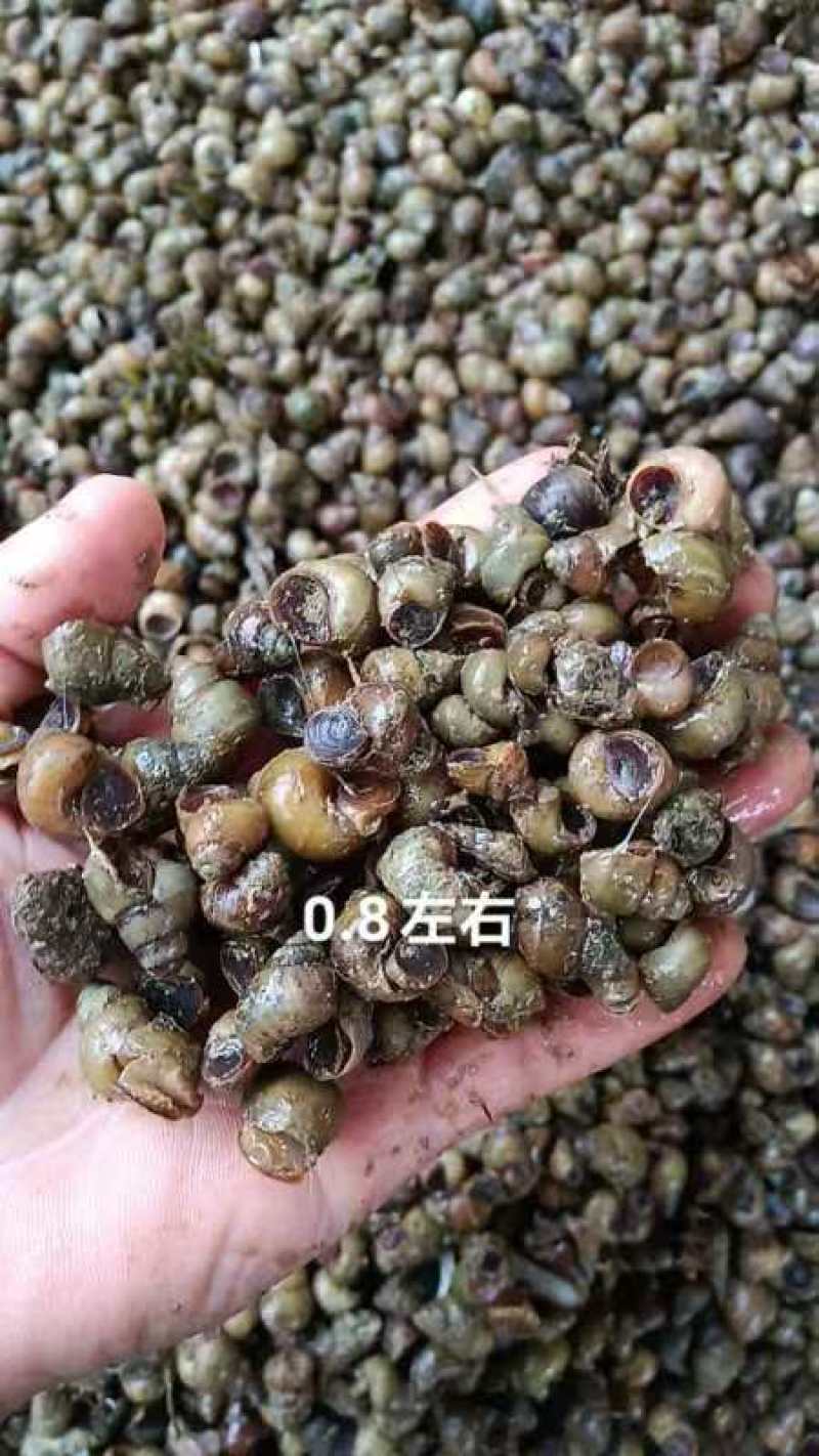 江苏螺蛳通货，也可分开，根据客服要求，可长期合作