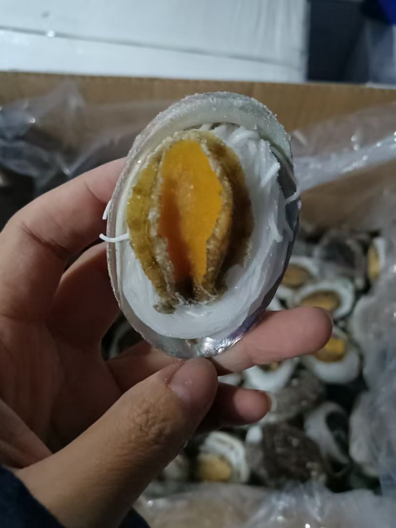 粉丝鲍鱼免处理鲍鱼肉烧烤食材海鲜自助火锅食材
