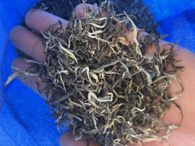 云南省普洱西盟县茶农自产自销手工制作
