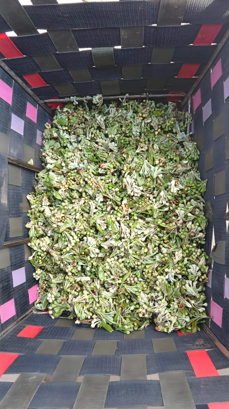 云南野生棠梨花水煮棠梨花
