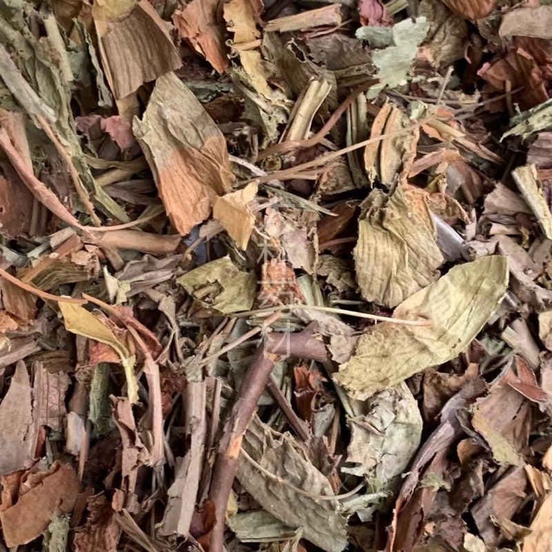 猪笼草【包邮】三斤起发货可批量可零售量大从优