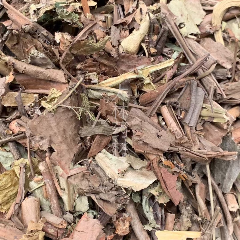 猪笼草【包邮】三斤起发货可批量可零售量大从优