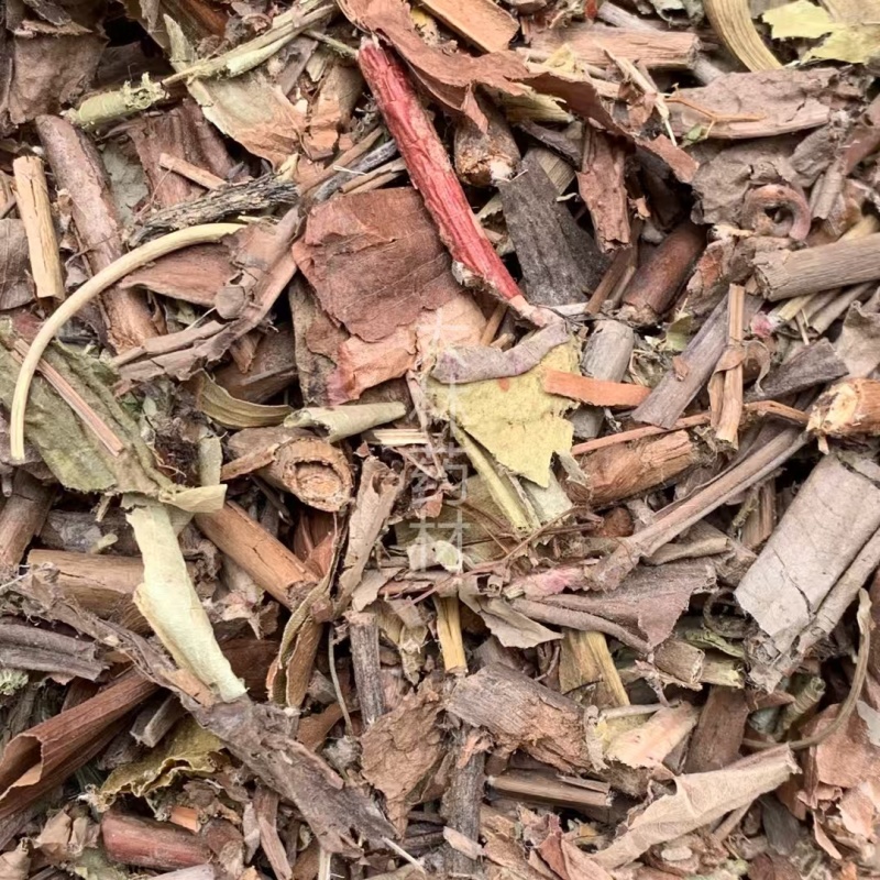 猪笼草【包邮】三斤起发货可批量可零售量大从优