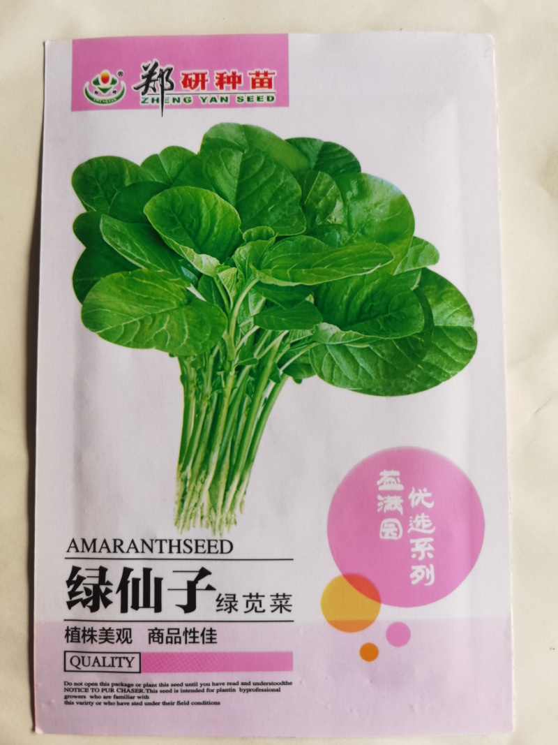 花红苋菜种子花仙子商品性好叶片卵圆形耐热耐湿