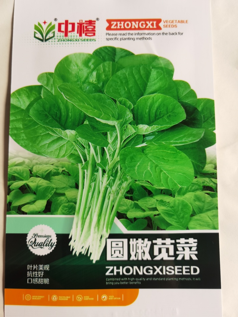 花红苋菜种子花仙子商品性好叶片卵圆形耐热耐湿