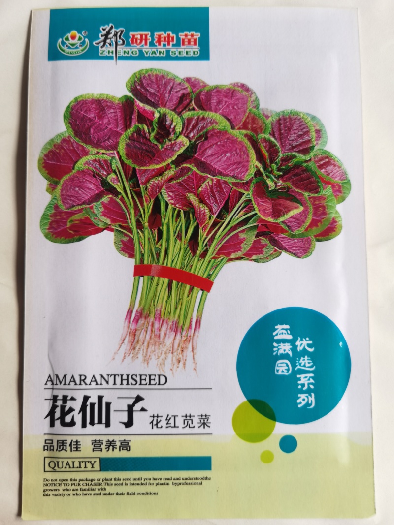 花红苋菜种子花仙子商品性好叶片卵圆形耐热耐湿