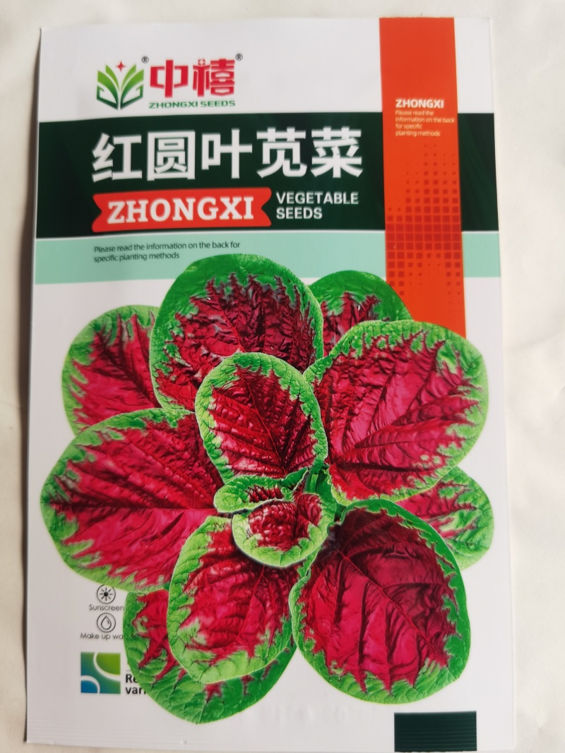 花红苋菜种子花仙子商品性好叶片卵圆形耐热耐湿